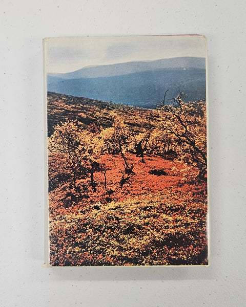 Lumikuru (Snow gorge)