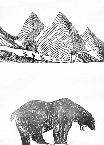 Reindeer A Tale of Nature and Survival in a Changing North