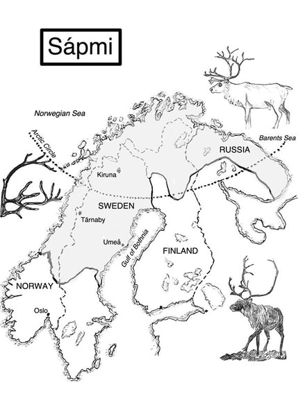 Reindeer A Tale of Nature and Survival in a Changing North