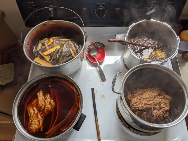 Introduction to Plant Dyeing Wool (OCT 2025)